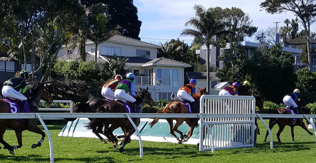 Racecourse Deluxe Apartment Auckland Bagian luar foto